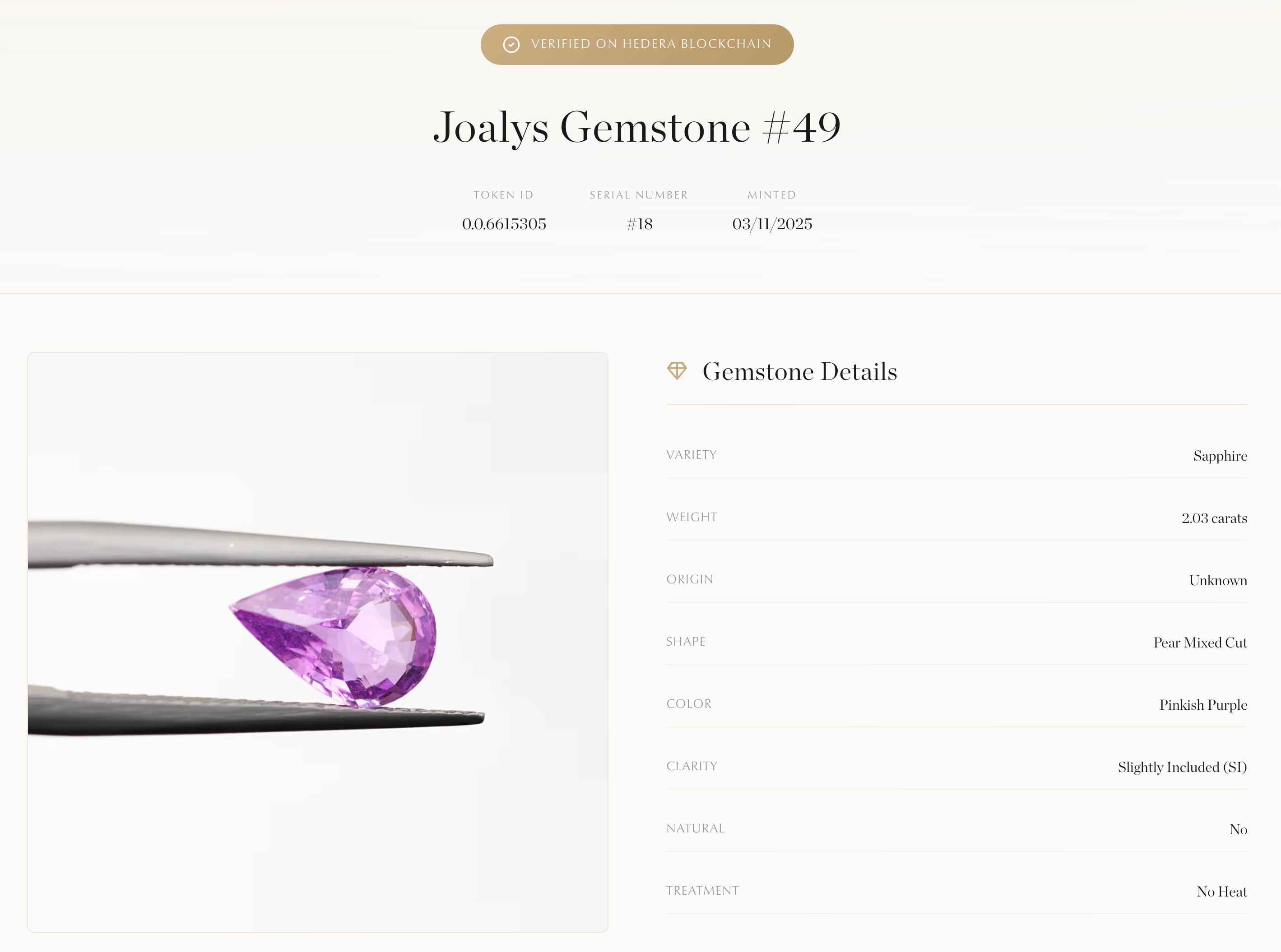 Enregistrement de ventes sur la blockchain Hedera — vue principale